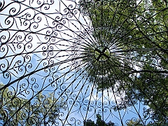 228 Longwood Gardens [2008 August 23]